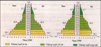 Địa lí 9 Bài 5: Thực hành Phân tích và so sánh tháp dân số năm 1989 và năm 1999