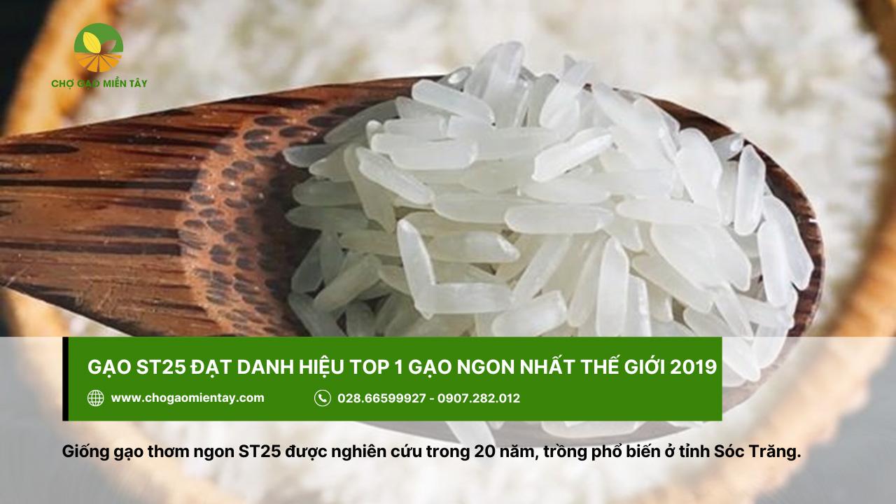 [Mới Nhất] Top 10 Các Loại Gạo Ngon Nhất Việt Nam Được Người Tiêu Dùng Tin Cậy