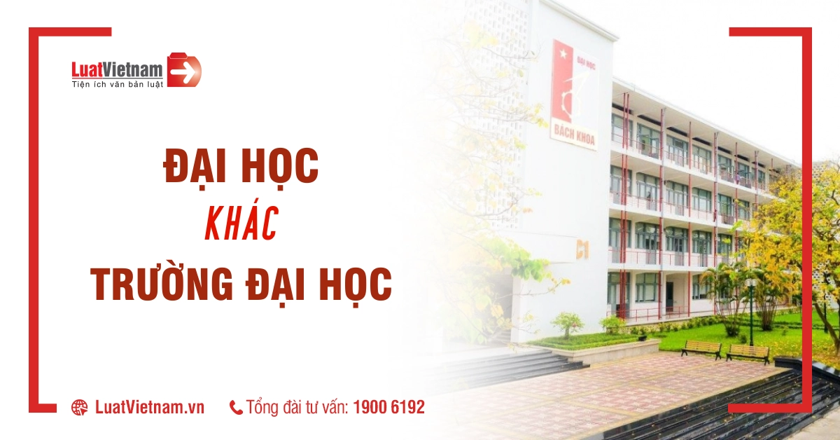 Có thể bạn chưa biết: Đại học và trường đại học khác nhau!