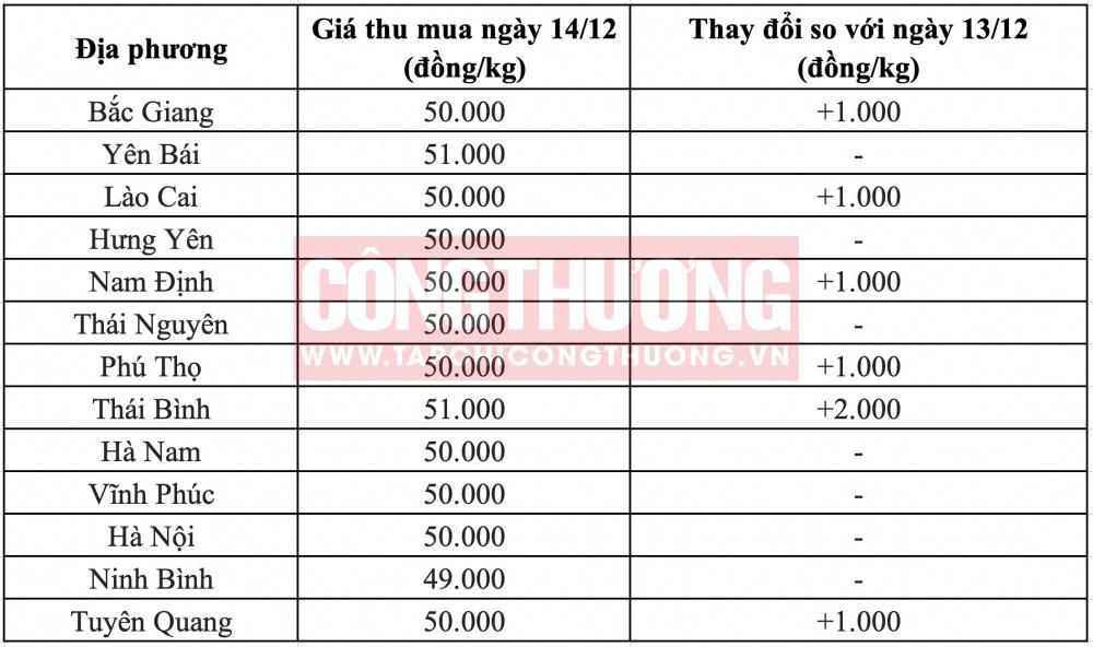 Giá heo hơi hôm nay 14/12: Miền Bắc tiếp tục tăng giá, giao dịch tại chợ đầu mối sôi động