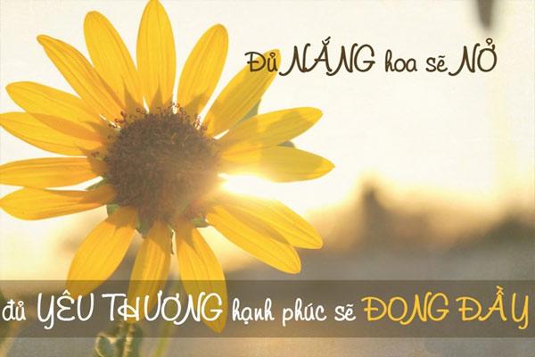 Yêu đời