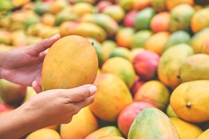 Mẹo nhận biết xoài chín bằng hóa chất hay tự nhiên. (Ảnh: Istock)