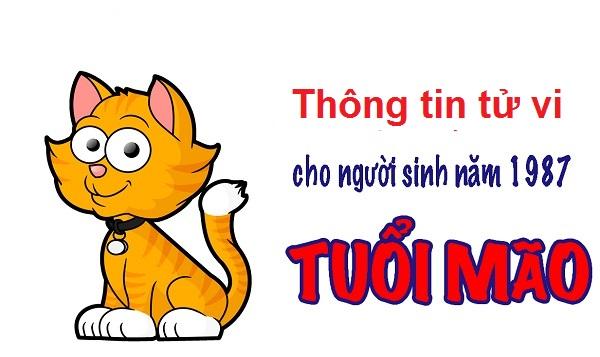 Người sinh năm 1987 hợp tuổi nào để làm ăn hay kết hôn? - Ảnh 1