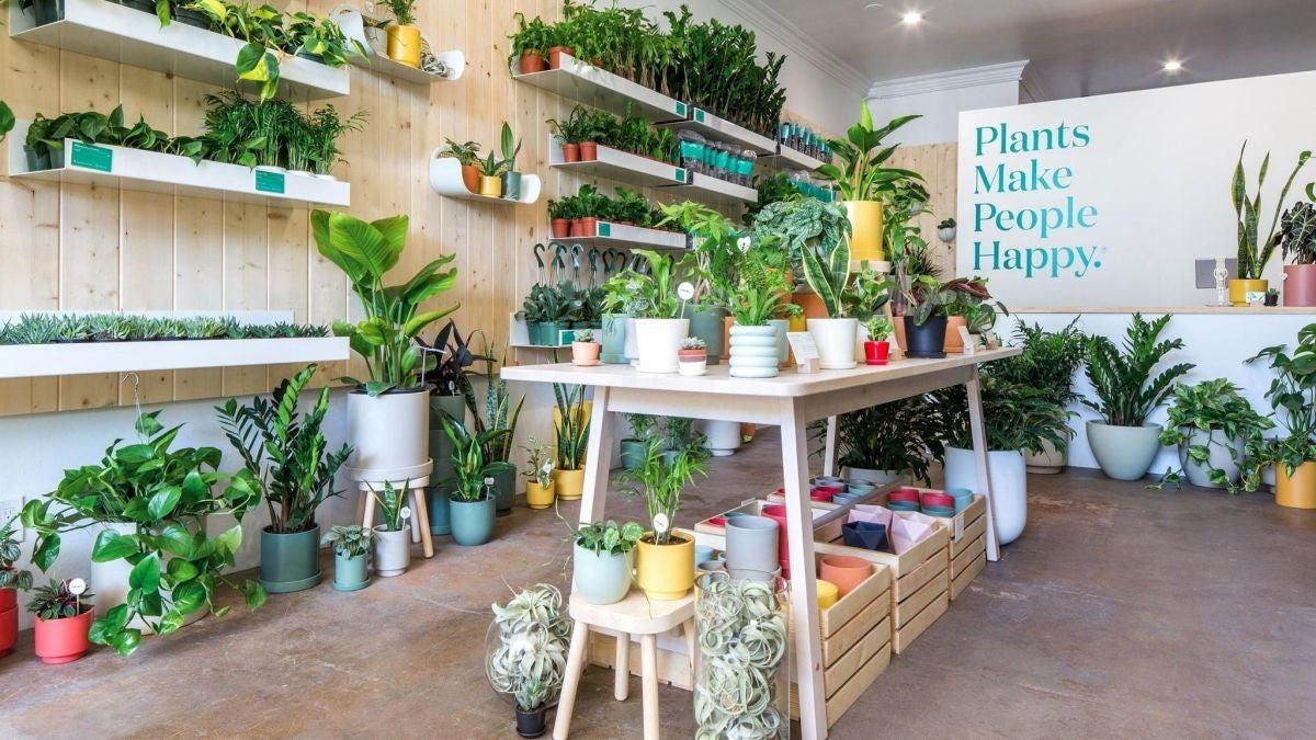 Photo of houseplant store in Los Angeles